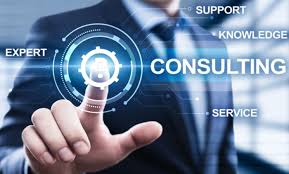IT Consulting